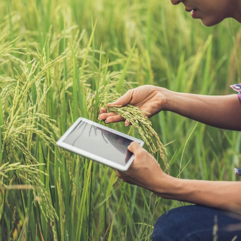 INNOVATIVE CROP SOLUTIONS